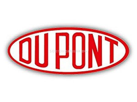Ариго + Тренд/Виволт 