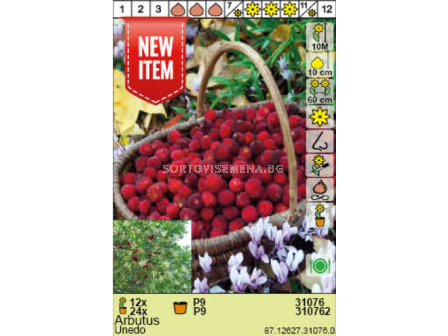 Ягодово дърво/ Arbutus Unedo - 1 брой - 2