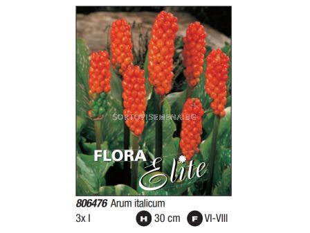Арум/ Italicum - Пакет: 1 оп. - 3 бр. 