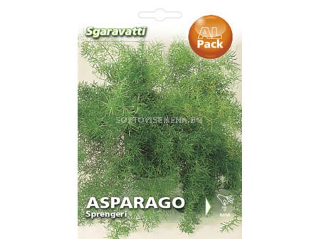 Семена Аспарагус`SG