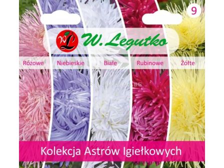 ЛГ КОЛЕКЦИЯ АСТРА ИГЛИЧЕСТА Kolekcja Astrow Igielkowych