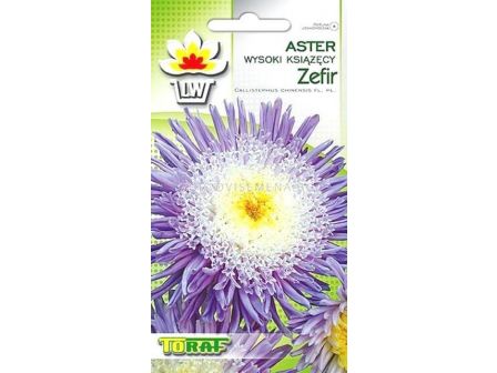 Астра висока / Zefir/ TF -1 гр