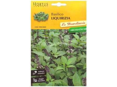Семена Босилек анасонов - Hortus