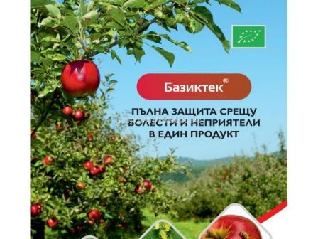 Базиктек - 20 л