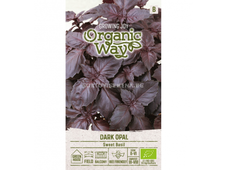 СК СЕМЕНА БОСИЛЕК ТЪМЕН ОПАЛ OW 