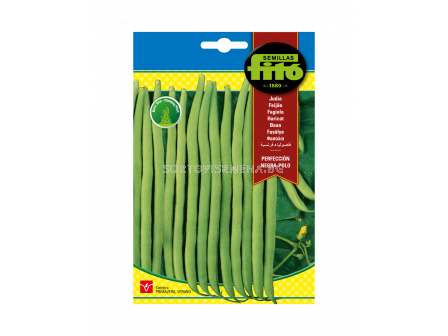 Семена на Увивен градински фасул Negra polo Фито -1 кг