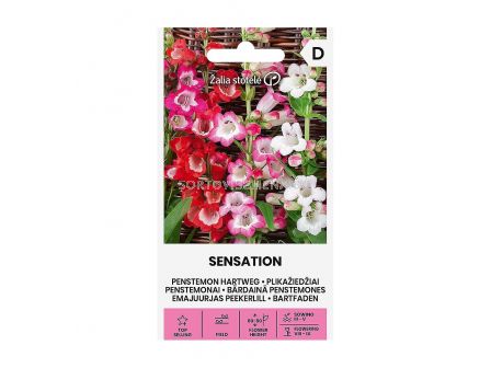 СК  СЕМЕНА ПЕНСТЕМОН PENSTEMON, HARTWEG SENSATION  