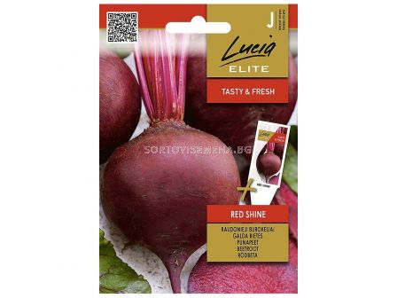 СЕМЕНА САЛАТНО ЦВЕКЛО ЧЕРВЕНА СВЕТЛИНА BEETROOT RED SHINE - СК 