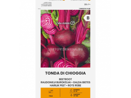 Червено цвекло RED BEET, TONDA DI CHIOGGIA -'SK-10г - 2