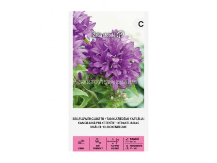 СК СЕМЕНА КАМБАНКИ КИЧЕСТИ СИНИ/ BELLFLOWER CLUSTER, PERENNIALBLUE - 0,1 г