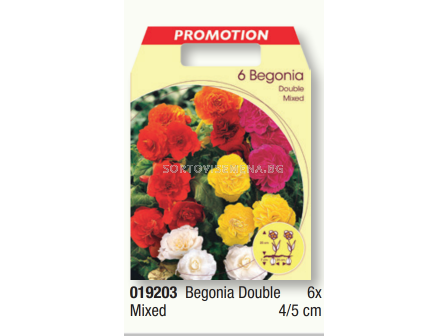Бегония double mixed - 1 пакет - 6 броя