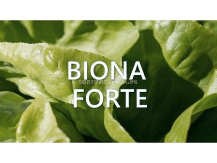 Biona Forte – Биона форте -1 л