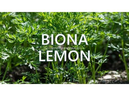 Biona Lemon - Биона Лимон - Биоинсектицид - 1