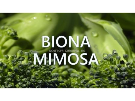 Biona Mimosa – Биона Мимоза - 1л
