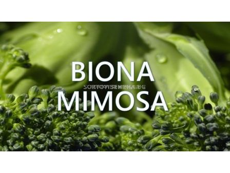Biona Mimosa - Биона Мимоза  - 1