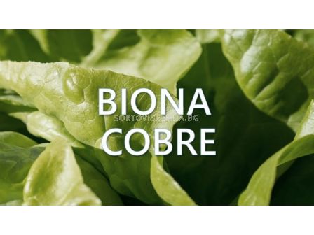 Biona Cobre – Биона Кобре - 1л