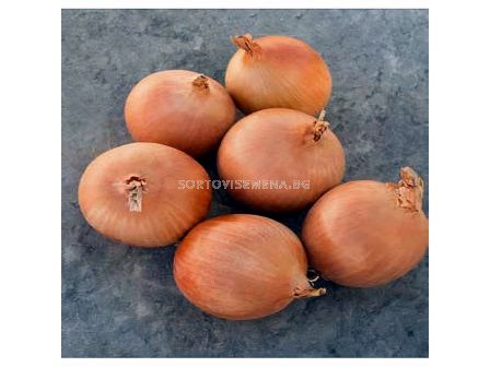 Семена за Лук Birdie F1 BJ -250 000 семена