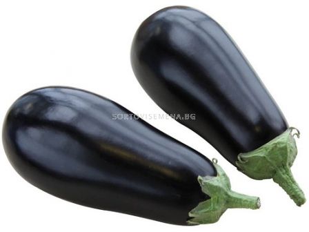 Патладжан Черна ПерлаF1-Black Pearl F1 (стандартен)- 500 бр. семена - 3