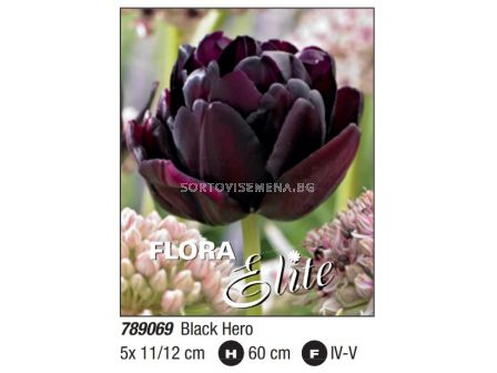 Лале double late Black Hero: Пакет: 1 оп- 5 бр.