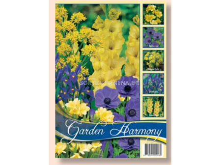 Лятна колекция от луковици микс за градина в синьо и жълто / Collection Flowerbulbs for Summergarden in blue and yellow / 1 оп (75 бр)