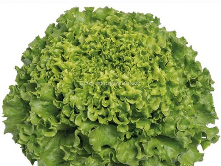 Салата Бонализа-Bonalisa - кутия 5000 дражета