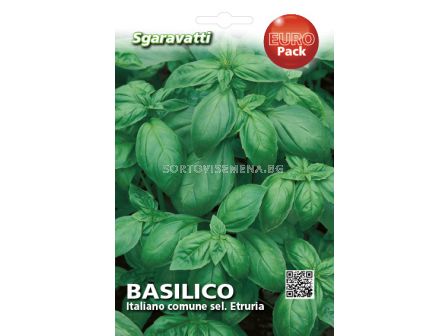 Семена Босилек (Basil) Italiano Comune Sel. Etruria`SG 
