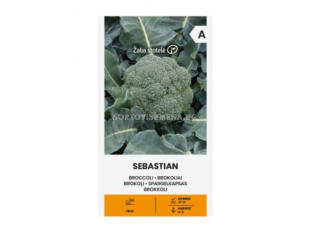 СК СЕМЕНА БРОКОЛИ СЕБАСТИАН BROCCOLI, SEBASTIAN