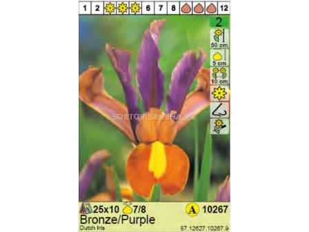 Ирис/  Dutch Iris Bronze/Purple - Пакет: 1 оп.- 10 бр.