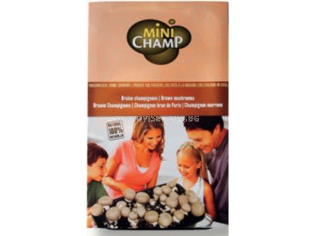 Комплект за отглеждане на кафяви гъби Mini champ - 3 литра