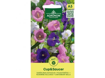 СК СЕМЕНА КАМПАНУЛА CANTERBURY BELLS CUP&SAUCER  SK