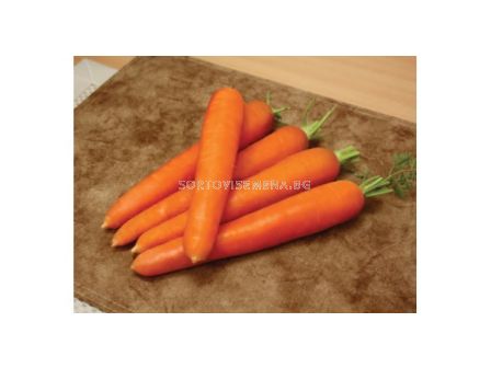 Семена Моркови CARLO F1- 100 000 сем