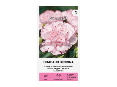 СК СЕМЕНА КАРАМФИЛ ШАБО БЕНГИНА CARNATION I CHABAUD BENIGNA, WHITE-RED  