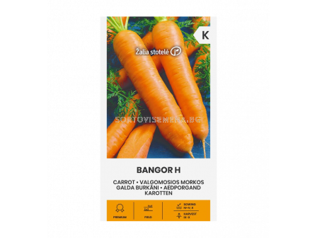 СК СЕМЕНА МОРКОВИ БАНГОР Х CARROT BANGOR H