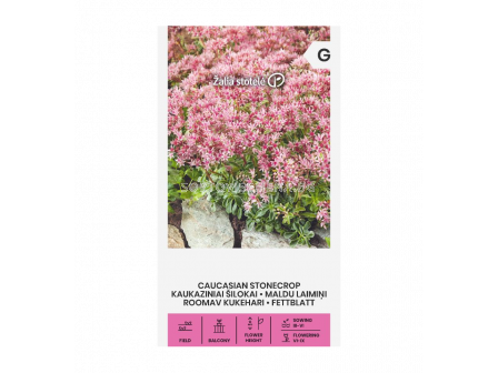 Седум Spurium - Sedum - 'SK- 0,15 г - 2