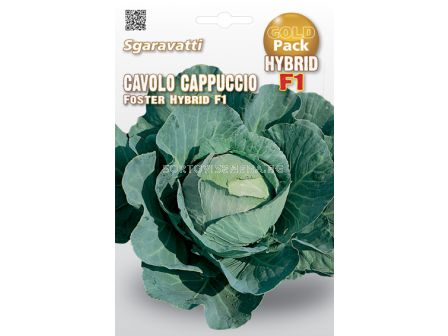 Семена зеле Foster F1`SG 