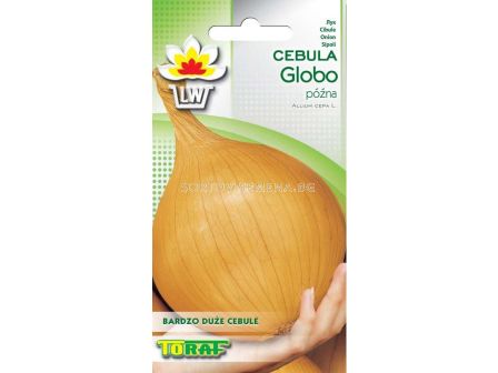 Семена Лук (Onion) Globo - 2г