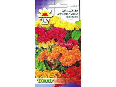 Целозия петльов гребен TF -0,5 гр