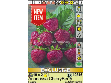 ягоди CherryBerry - strawberry CherryBerry