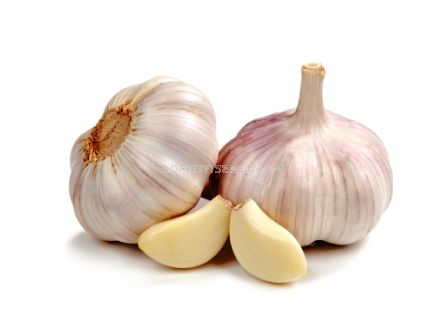 Чесън бял (Garlic White)