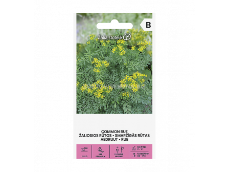 СК СЕМЕНА СЕДЕФЧЕ COMMON RUE - 2