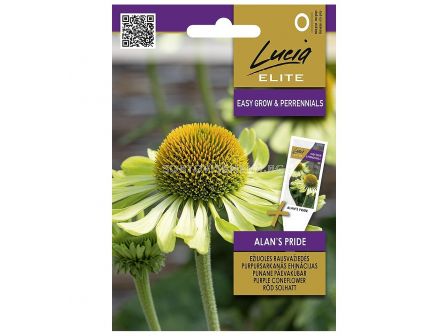 СЕМЕНА ЕХИНАЦЕЯ CONEFLOWER ALAN'S PRIDE -  СК   