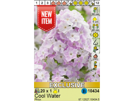 Флокс Cool Water/ Phlox - 1 брой
