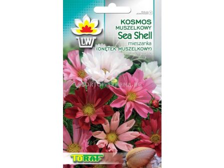 Космос Sea Shell - Cosmos Sea Shell 