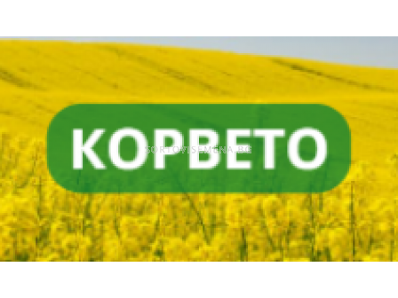 Корвето 5 л