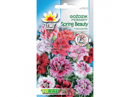 Семена Карамфил /Spring Beuty/TF-0,5 гр