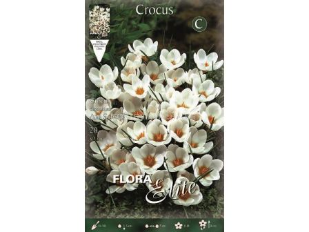 Минзухари  Ard Schenk