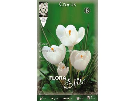 Минзухари Jeanne d'Ark