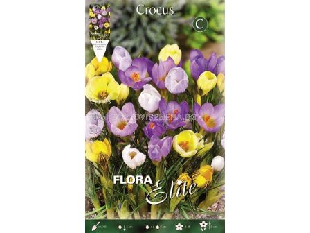 Минзухари Species mix (1 оп-20 луковици)