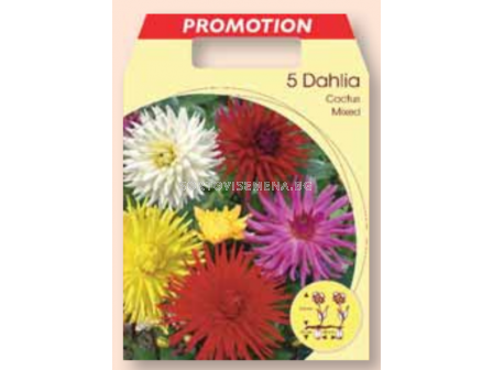 Далия кактус микс / Dahlia cactus mixed / 1 оп ( 5 бр )	