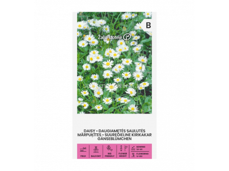 СК ПАРИЧКИ БЕЛИ - DAISY ENGLISH, WHITE - 2